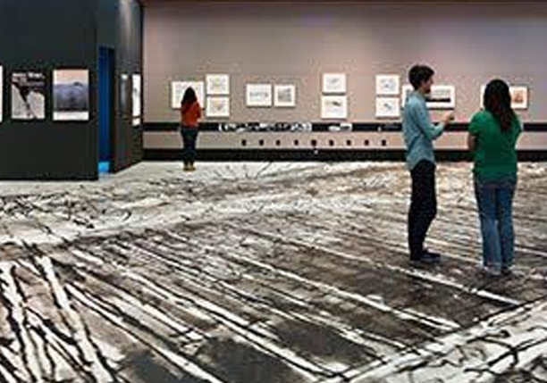 Floors and Sidewalks